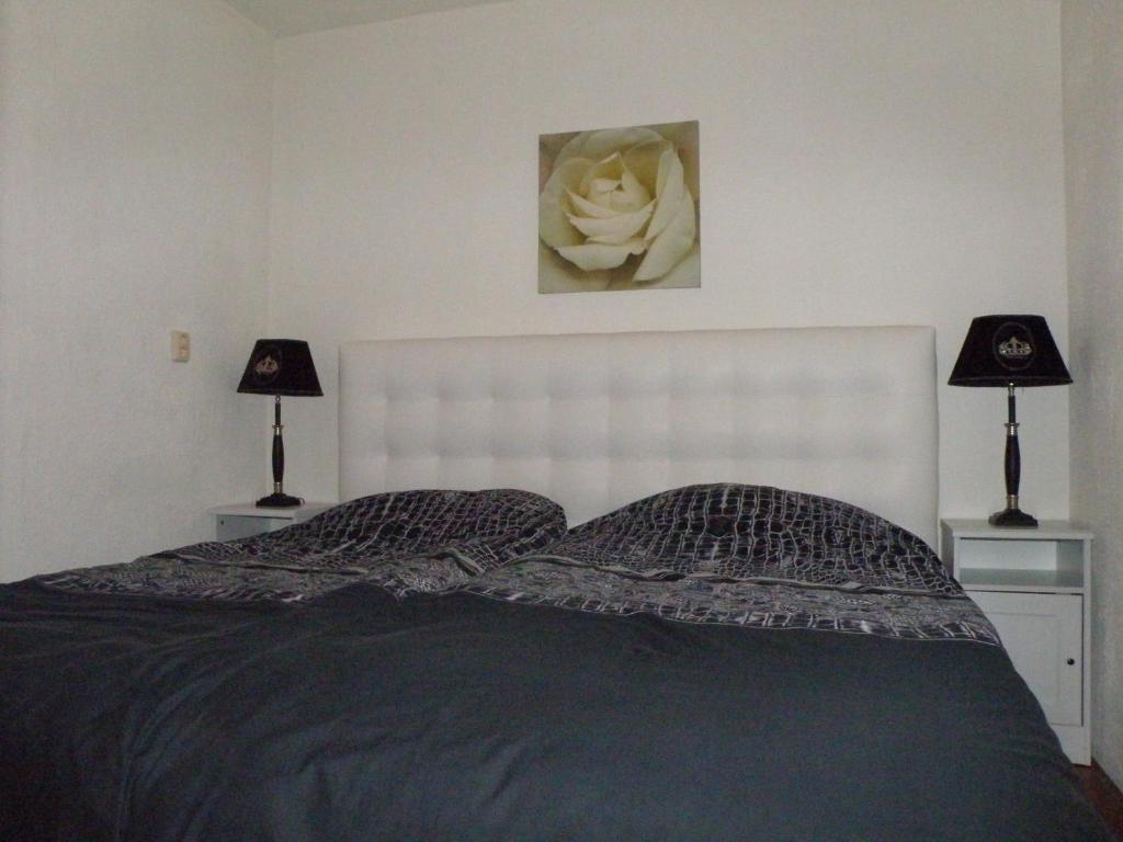 Apartment Seastar Zandvoort Cameră foto